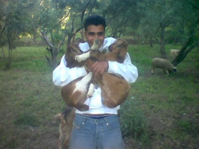 lem3izat avec moi